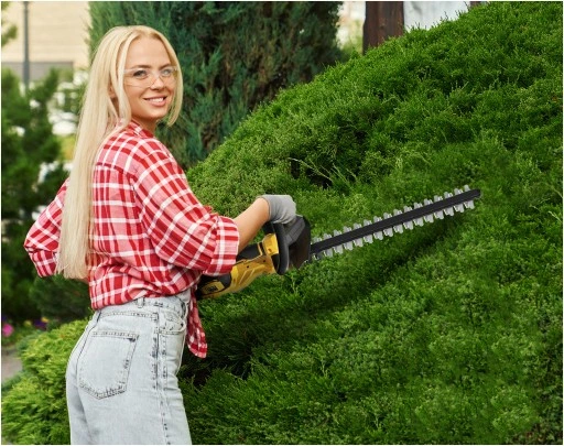 NOŻYCE DO ŻYWOPŁOTU AKUMULATOROWE DO KRZEWÓW IMOUM AKUMULATOR ZESTAW 21V