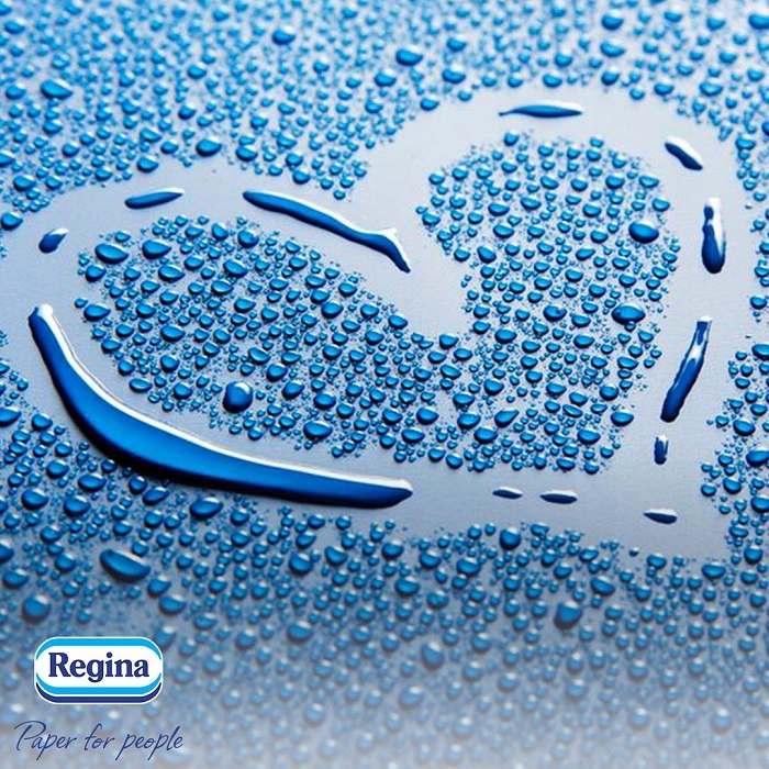 Papier Toaletowy Regina DELICATE+ (Delicatis) poduszeczki 4W zestaw 45 szt.