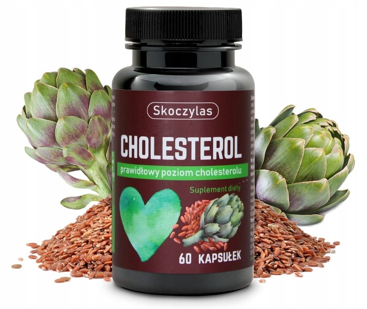Cholesterol - SKOCZYLAS