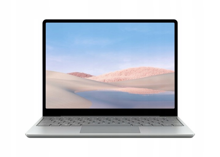 Laptop Microsoft Surface Go 12,4" i5 4/64GB Win11 Platynowy (PL)