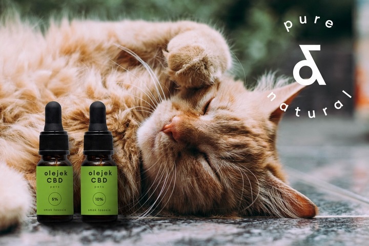 Olejek CBD 5% dla zwierząt 10 ml FULL SPECTRUM Pies Kot / konopny 500 mg