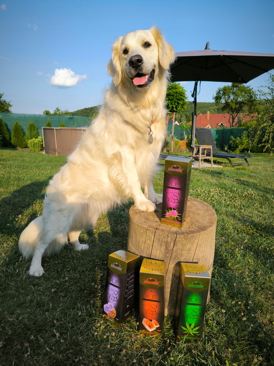 VITAR Veterinae Olej z Ostropestu 1000 ml -bogate źródło witaminy E+Omega 3