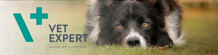 Preparat dla psów i kotów na stawy Vet Expert Arthrovet 60 tabletek