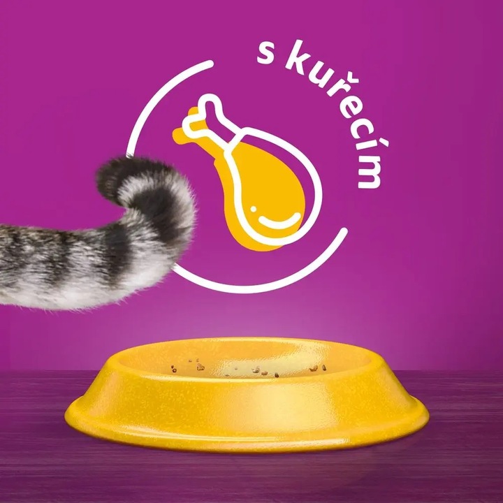 WHISKAS SUCHA KARMA DLA KOTÓW DOROSŁYCH KURCZAK 3,8 KG