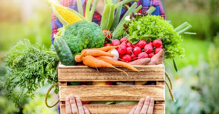 Saletrzak 10kg z MAGNEZEM Nawóz azotowy na trawnik warzywa GRUPA AZOTY