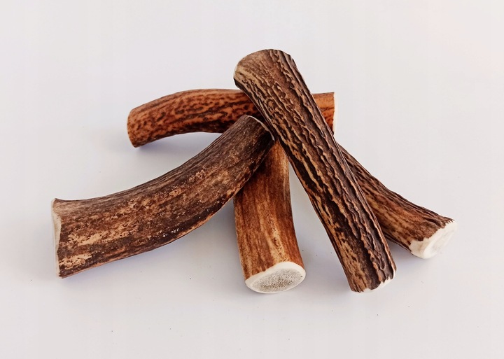Gryzak NATURALNY poroże jelenia dla psa L HARD 15-17 cm