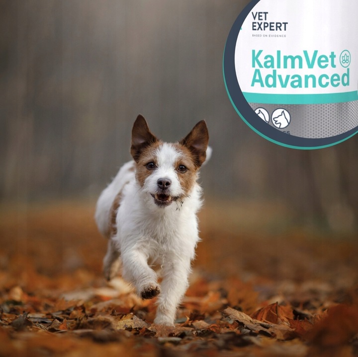 Vetexpert KalmVet ADVANCED TwistOff objawy stresu pies / kot 60 kapsułek