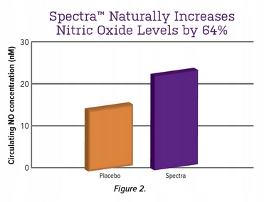 Aliness Premium Vitamin Complex 23 WITAMINY I MINERAŁY DLA MĘŻCZYZN 120t