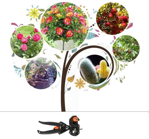 ZESTAW SEKATOR NOŻYCE NOŻYCZKI OGRODOWE DO SZCZEPIEŃ OKULIZACJI DRZEW ETUI