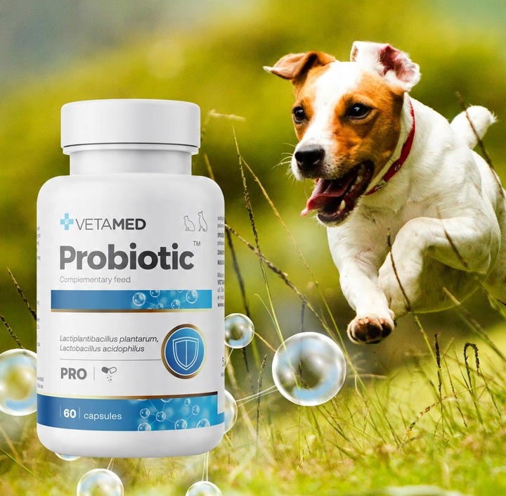 PROBIOTYK dla PSA I KOTA Prebiotyk VETAMED Probiotic 60 kapsułek + GRATIS