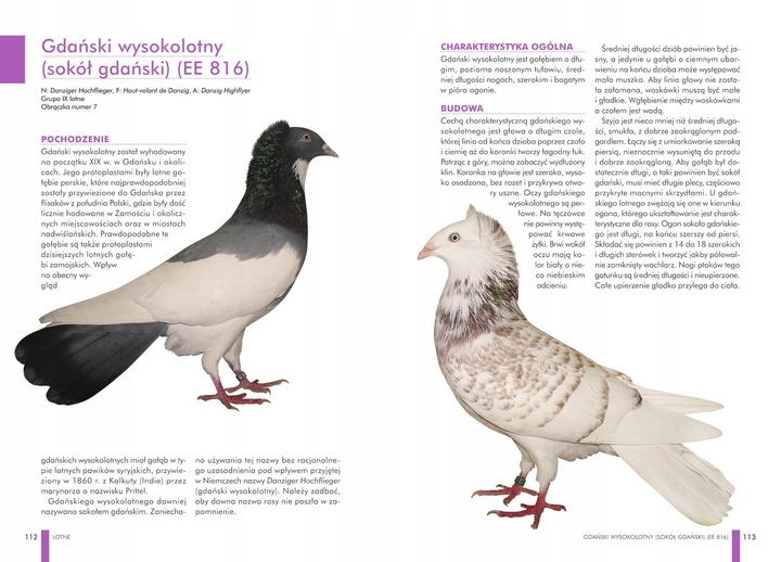 ZESTAW KSIĄŻEK O GOŁĘBIACH ATLAS GOŁĘBI POLSKIE RASY I GOŁĘBIE BARWNE 148