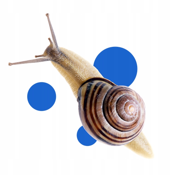 BROS VITROL GB naturalny granulat na ślimaki bezpieczny dla zwierząt 1kg