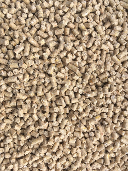 Pasza karma dla Przepiórek bez GMO susz pokrzywa marchew lucerna 20 kg