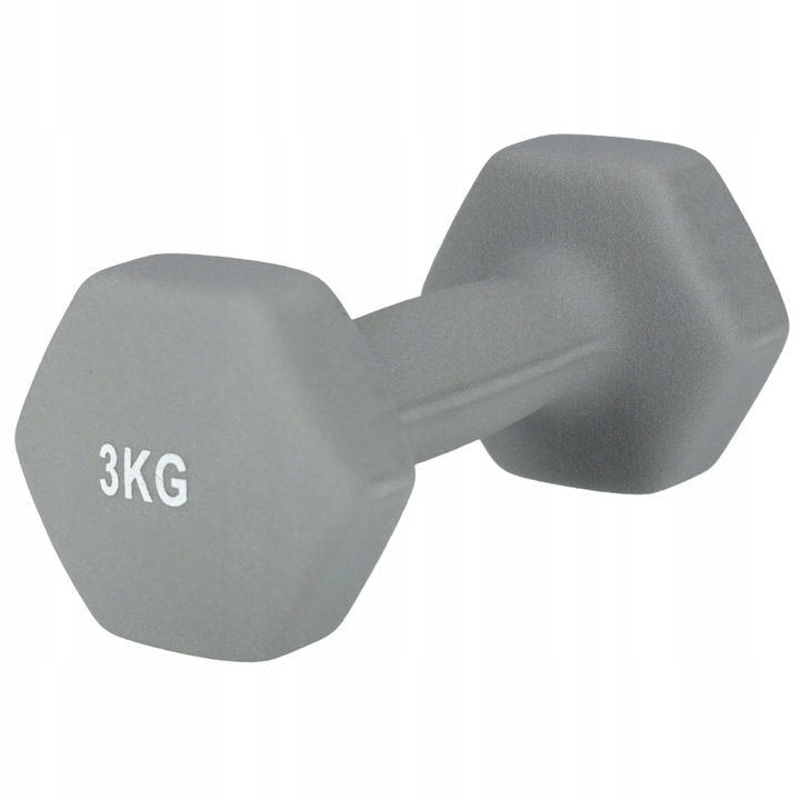 HANTLE CIĘŻARKI DO ĆWICZEŃ HANTELKI ŻELIWNE ANTYPOŚLIZGOWE ZESTAW 2x3 KG