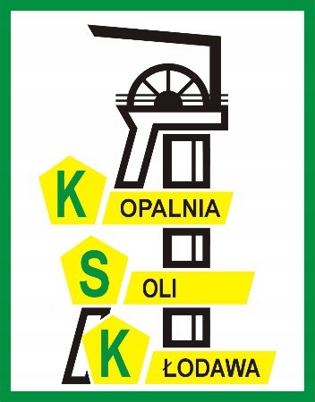 Sól kamienna kłodawska do przetworów 10x1,1kg