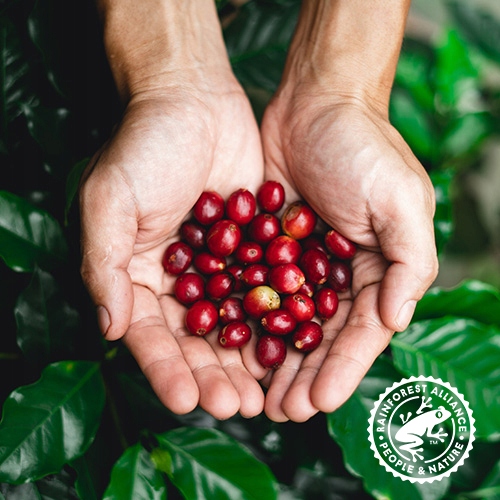 Costa Coffee Kawa Signature Blend Dark Mielona 2x500g