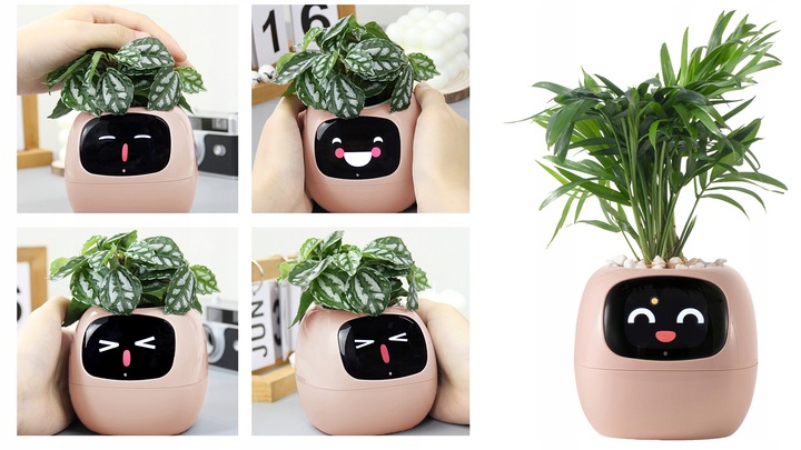 Inteligentna doniczka IVY SMART PLANTER osłonka na donicę PLANTSIO RÓŻOWA