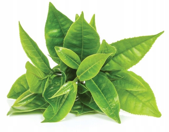 Podstawka ceramiczna pod chasen do matchy czarna