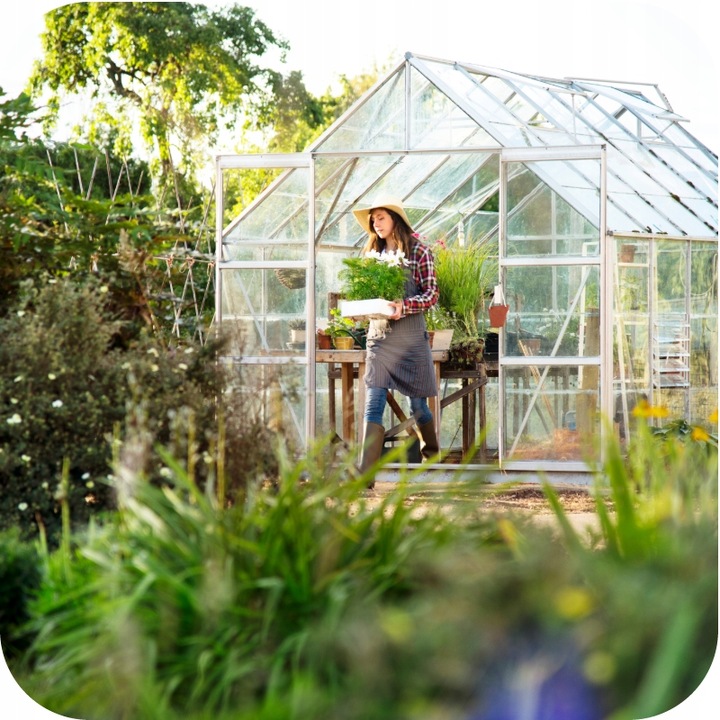 TRUTKA NA ŚLIMAKI ŚRODEK NA ŚLIMAKI 1KG GRANULAT LIMA ORO 5GB