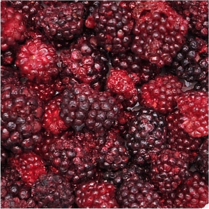 JEŻNY LIOFILIZOWANE 100g Jeżyna 100% POLSKA PROSZEK HiFOOD