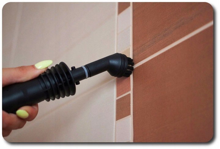 PAROWNICA na PLUSKWY Myjka Parowa Czyścik Ciśnieniowy 1050W 115 stopni