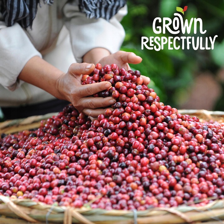 Kapsułki Dolce Gusto Nescafe Americano 48 szt 3x16