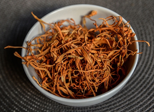 Cordyceps militaris suszone 100g KORDYCEPS