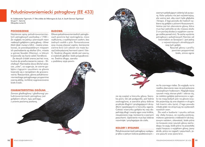 ZESTAW KSIĄŻEK O GOŁĘBIACH ATLAS GOŁĘBI POLSKIE RASY I GOŁĘBIE BARWNE 148