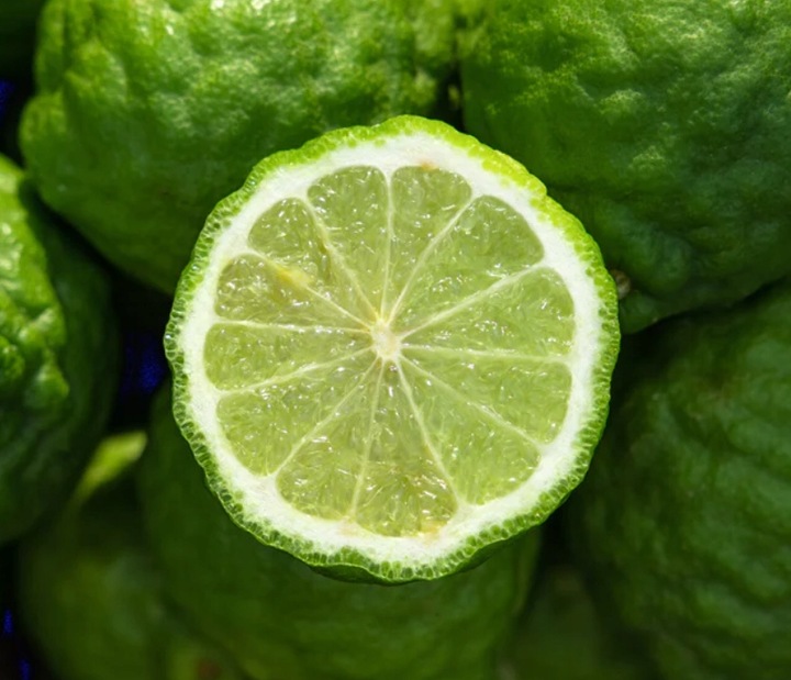 MIODOWA MYDLARNIA Dezodorant w kremie BERGAMOTKA