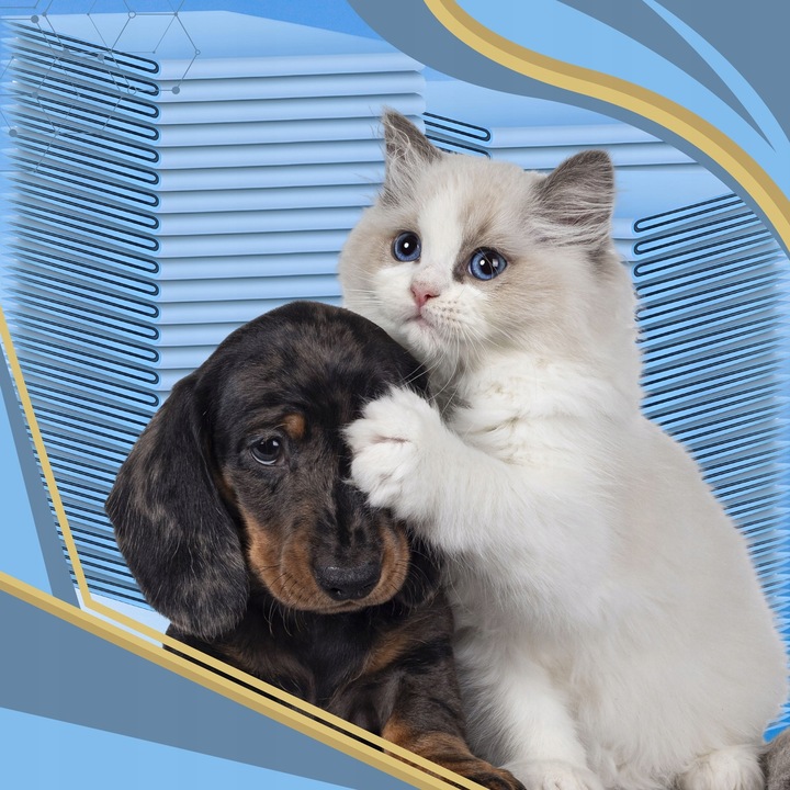 PODKŁADY HIGIENICZNE CHŁONNE MATY DLA PSA DO SIKANIA GRUBE 60x45cm 100 SZT