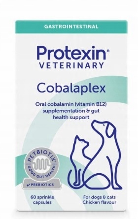 Protexin Cobalaplex 60 kapsułek (witamina B12, Kwas foliowy) PIES/KOT