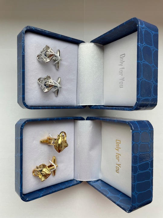 Srebrne spinki do mankietów Samolot