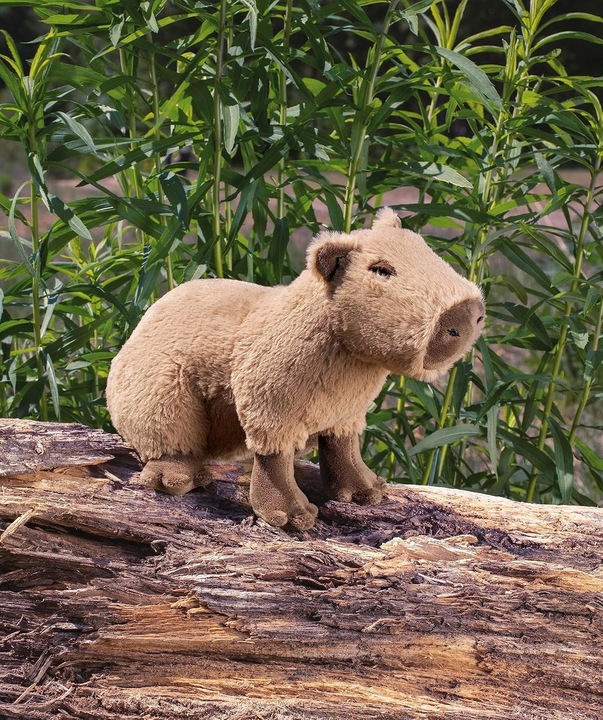 Pluszak Kapibara FANCY Maskotka Kapibara