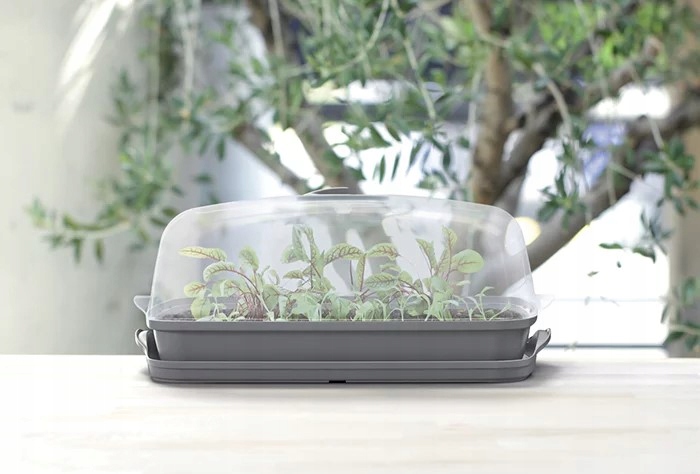 Szklarnia rozsadnik RESPANA table greenhouse 39,1 cm x 25,7 cm x 18,5 cm