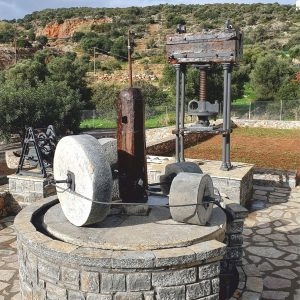 Physis of Crete super Grecka oliwa z oliwek 0,2% - 5 L data aż do 03/27