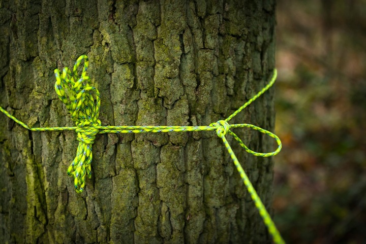 Linka Tactical 275 Cord (100ft) - Olive Drab