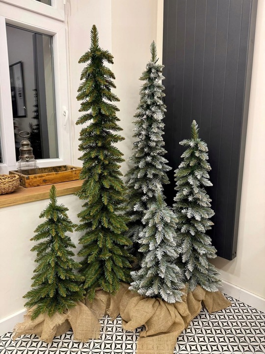 Choinki Marzeń CHOINKA SLIM ŚWIERK TATRZAŃSKI *PREMIUM* 100cm + GRATIS