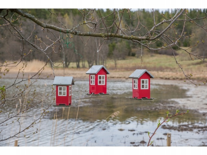 TRIXIE Karmnik Domek pojemnik na karmę ptaków dzikich zimujących papugi 1 L