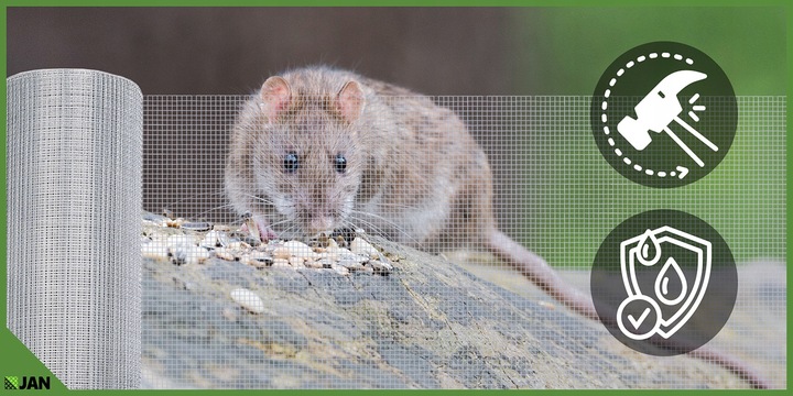 Siatka przeciw Gryzoniom 6x6x0,65 ocynk Hodowlana Na Woliery Zgrzewana 25m2