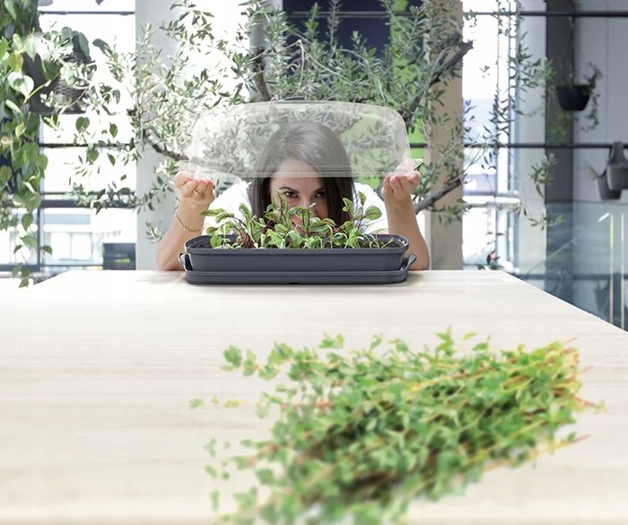 Szklarnia rozsadnik RESPANA table greenhouse 39,1 cm x 25,7 cm x 18,5 cm