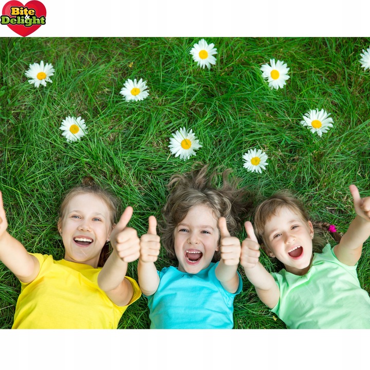 Chipsy bananowe bez cukru niesłodzone 2kg Zdrowa przekąska suszony banan