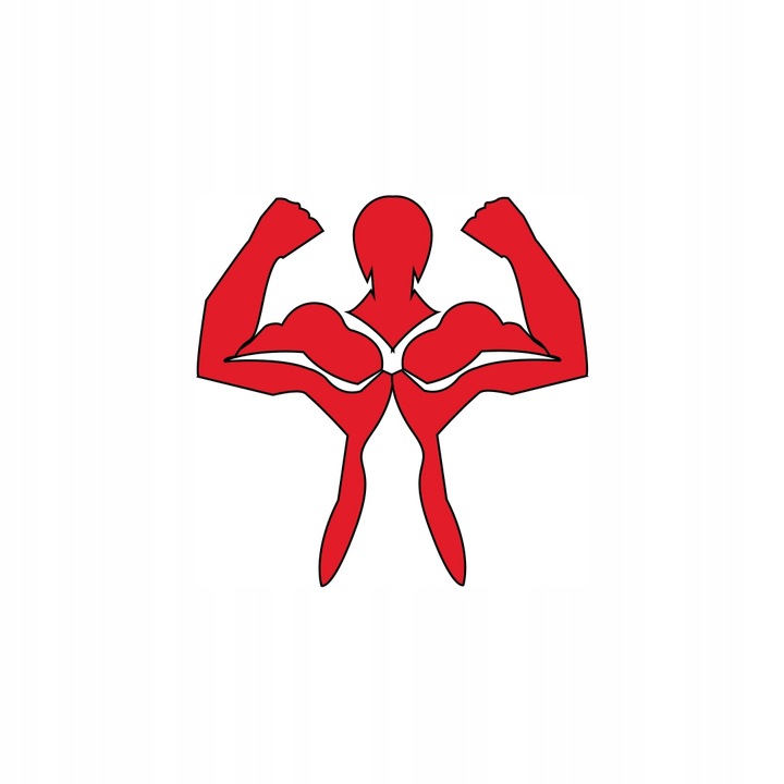 ZESTAW Startowy Do Herbaty Matcha BIO 100g z Piękną Czarką Miotełką i Łyżką