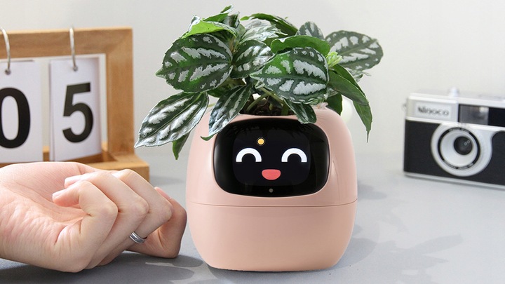 Inteligentna doniczka IVY SMART PLANTER osłonka na donicę PLANTSIO RÓŻOWA