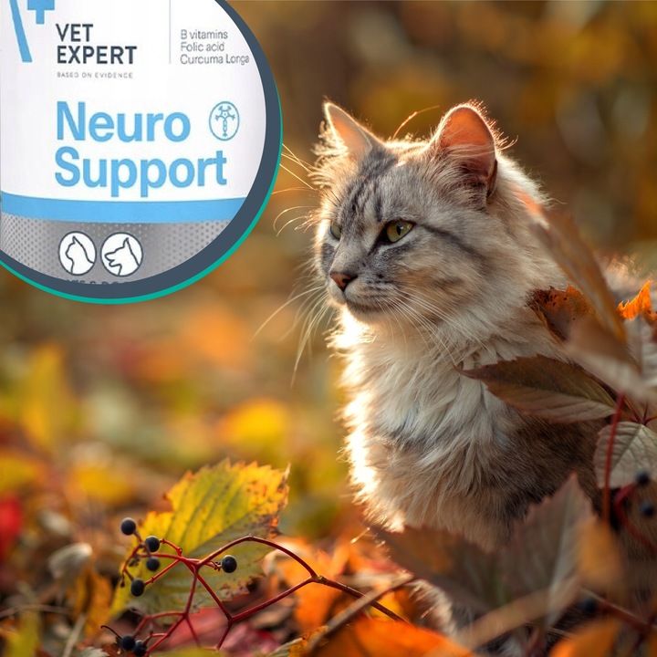 Preparat dla psów kotów na układ nerwowy Vet Expert Neurosupport 45 kaps