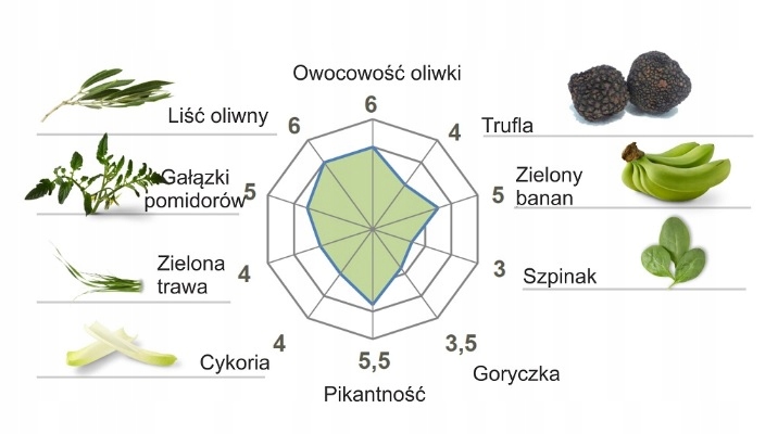 Casas de Hualdo Oliwa Manzanilla Extra Virgin-20/1