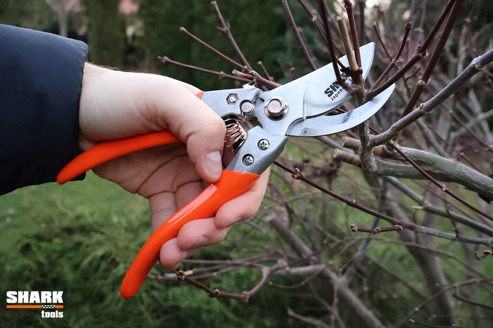 SEKATOR DO GAŁĘZI RĘCZNY NOŻYCOWY Shark G1 ogrodowy do cięcia 22 cm