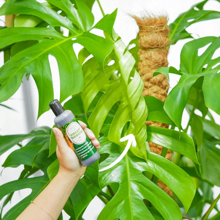 CocaBooster - STYMULATOR WZROSTU - Nawóz Odżywka Specjalistyczny Preparat