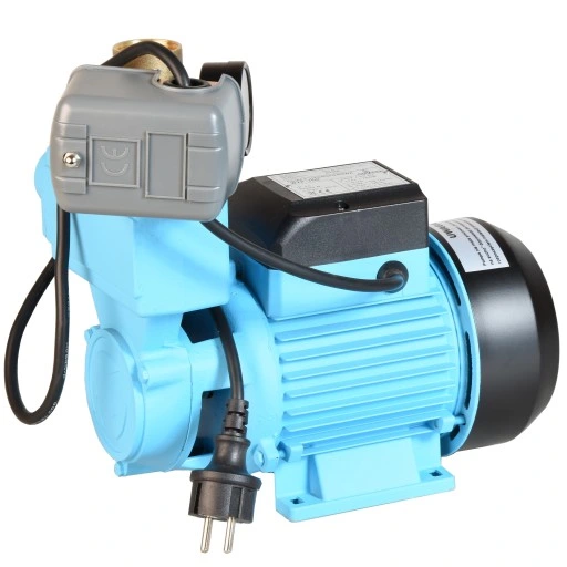 POMPA DO WODY PODLEWANIA WZ 750P 750 + OSPRZĘT HYDROFOROWA OGRODOWA COVERA