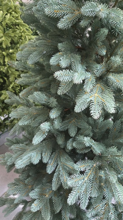 Ekskluzywna Sztuczna Choinka 100% PE 3D ŚWIERK SILVER sky 180 cm LUX