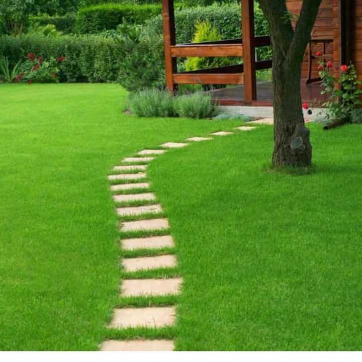 Compo Expert Novatec N-max 25kg Nawóz do Trawy Szybki Wzrost 24-5-5